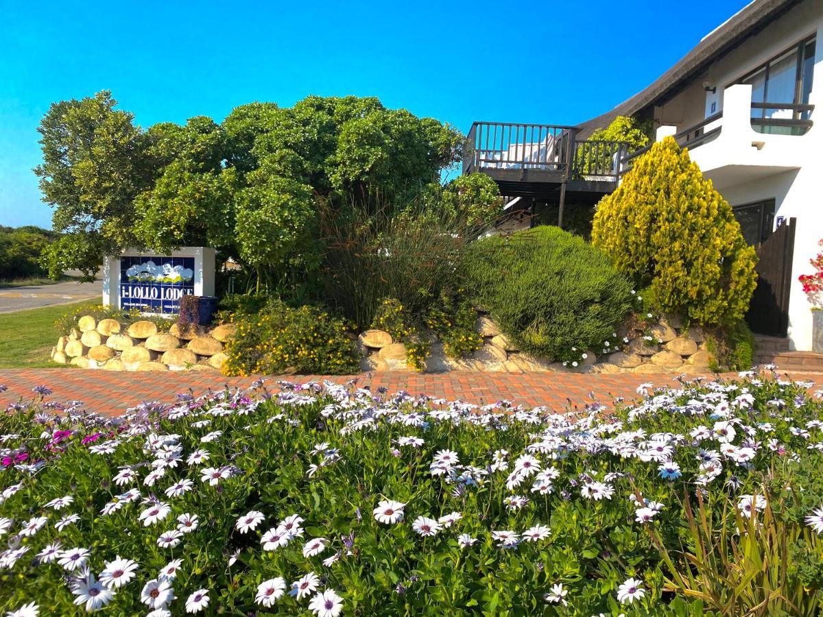 I-Lollo Bed & Breakfast At The River Mouth St Francis Bay Exterior photo